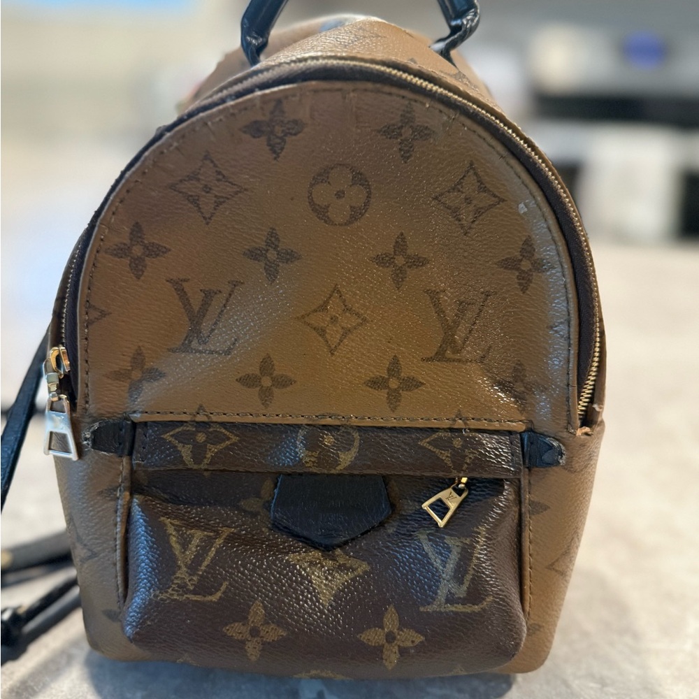 Louis Vuitton Brown Backpack